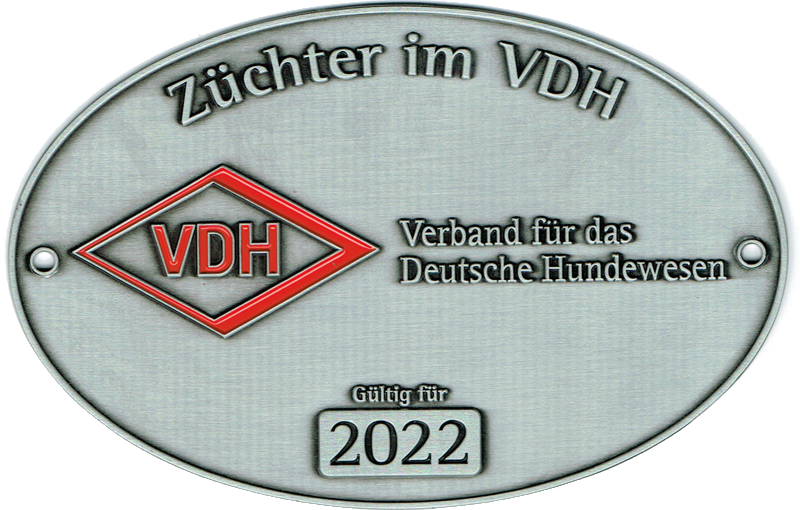 VDH 2021